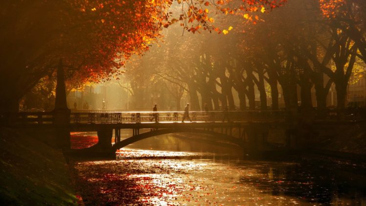 autumn, Tree, Leaves, Beauty, Nature, Landscape, Bridge, Peoples, River HD Wallpaper Desktop Background