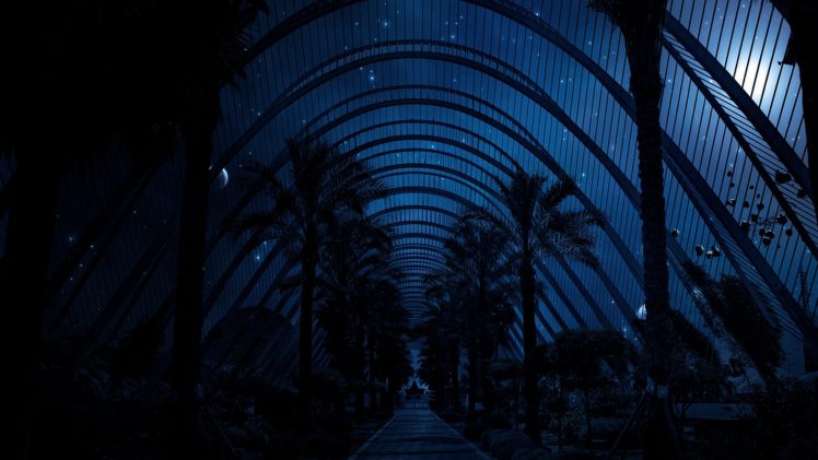 night, Plants, Artwork, Skies, Biosphere HD Wallpaper Desktop Background