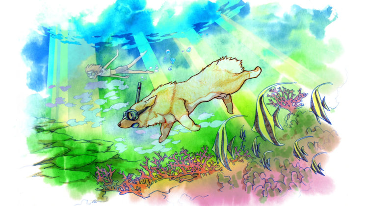 dog, Snorkel, Underwater, Dive, Drawing HD Wallpaper Desktop Background