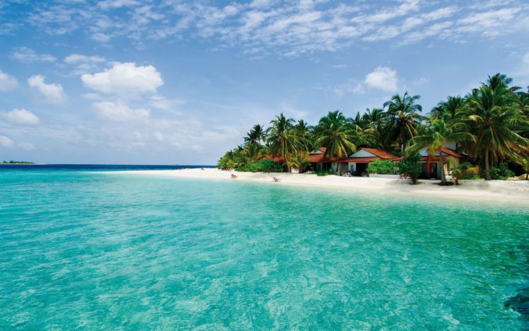 maldives, Island, Sea, Palm, Trees, Beach, Landscape, Ocean, Beaches ...