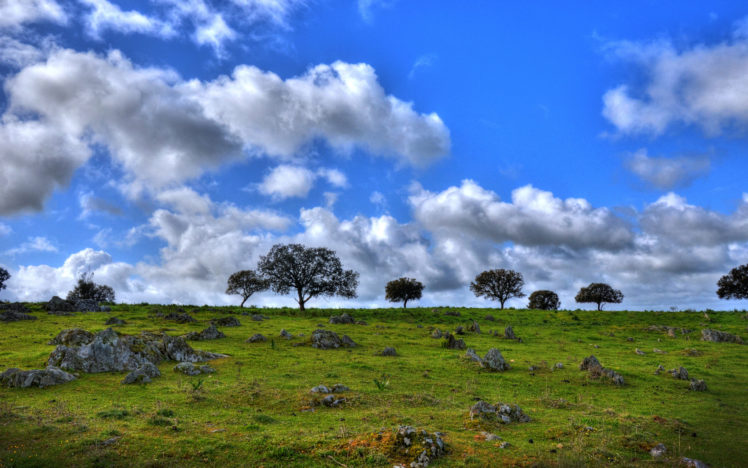 field, Clouds, Trees, Landscape HD Wallpaper Desktop Background