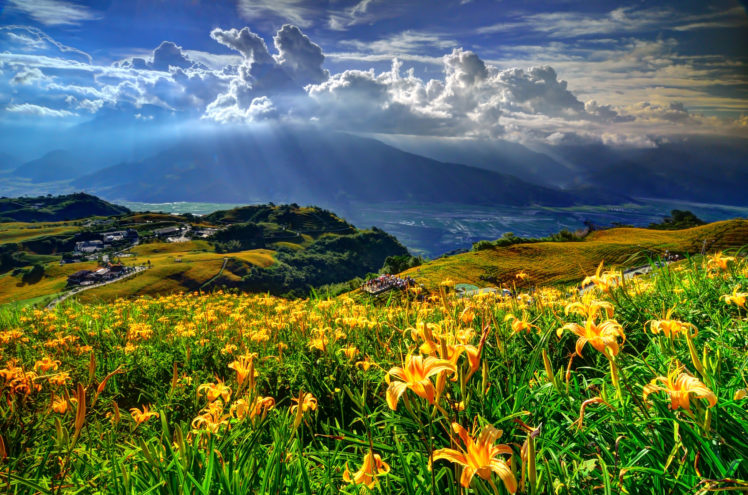 mountains, Slope, Flowers, Lilies, The, Village, The, Clouds HD Wallpaper Desktop Background