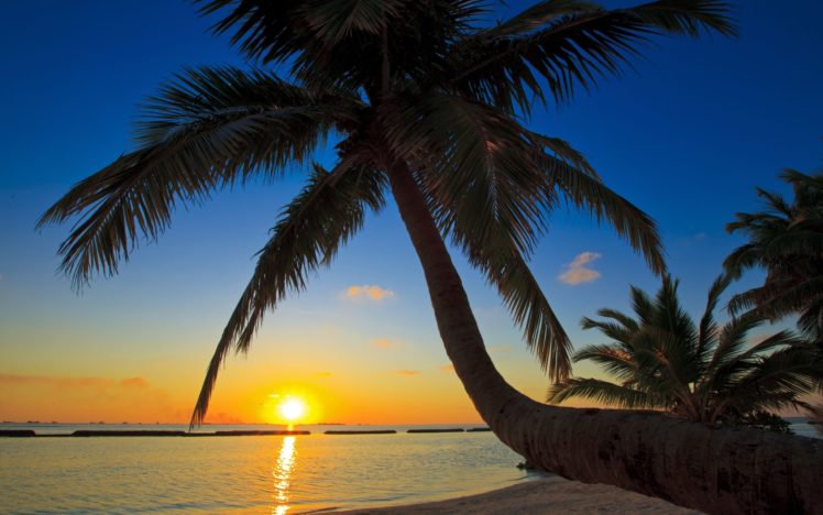 sunset, Sea, Palm, Trees, Beaches HD Wallpaper Desktop Background