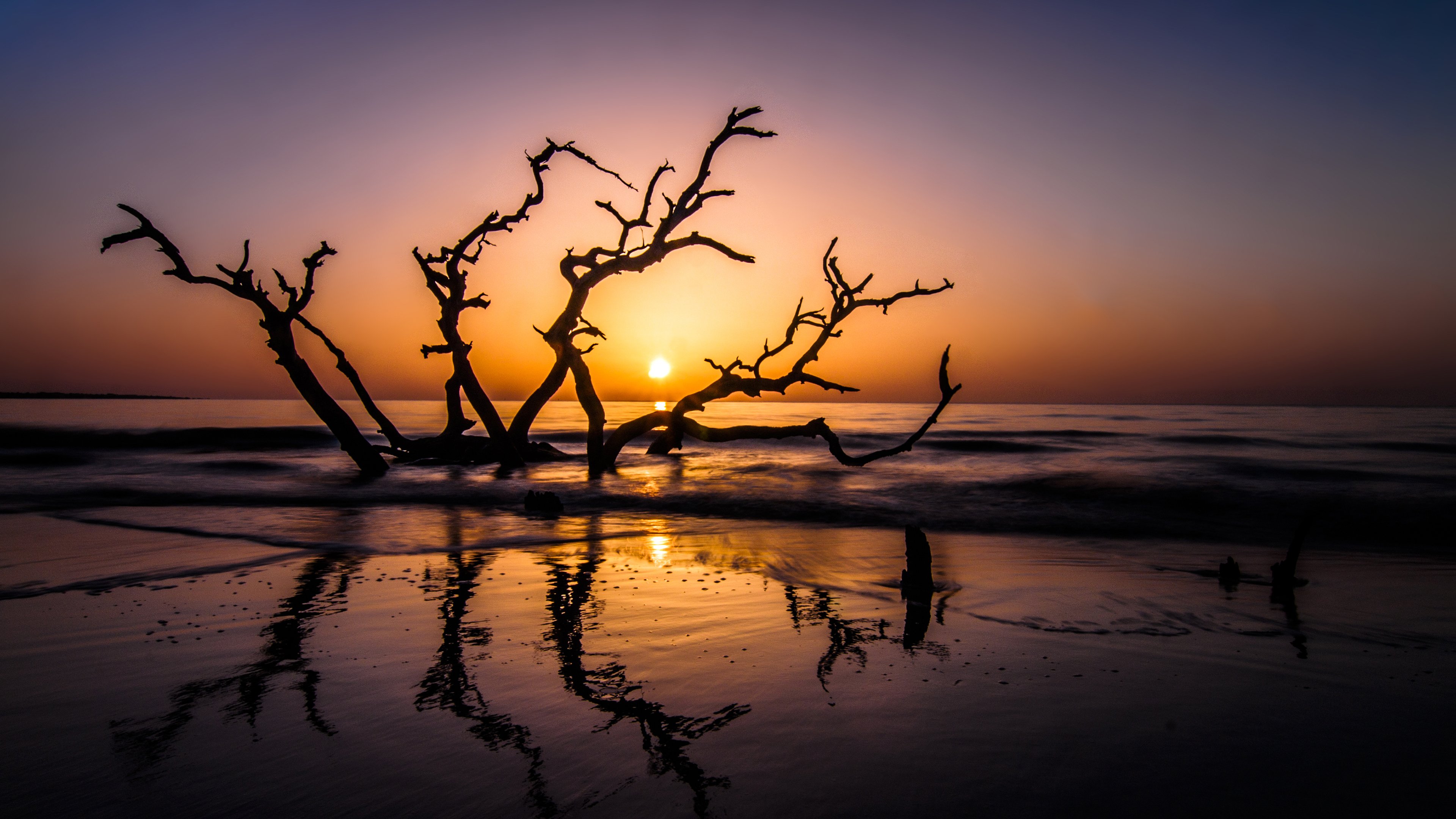 sunset Wallpaper