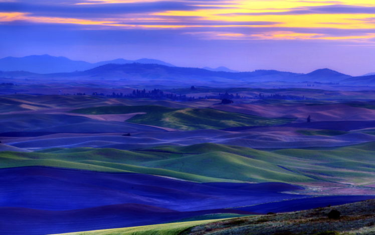 sunset, Field, Landscape HD Wallpaper Desktop Background