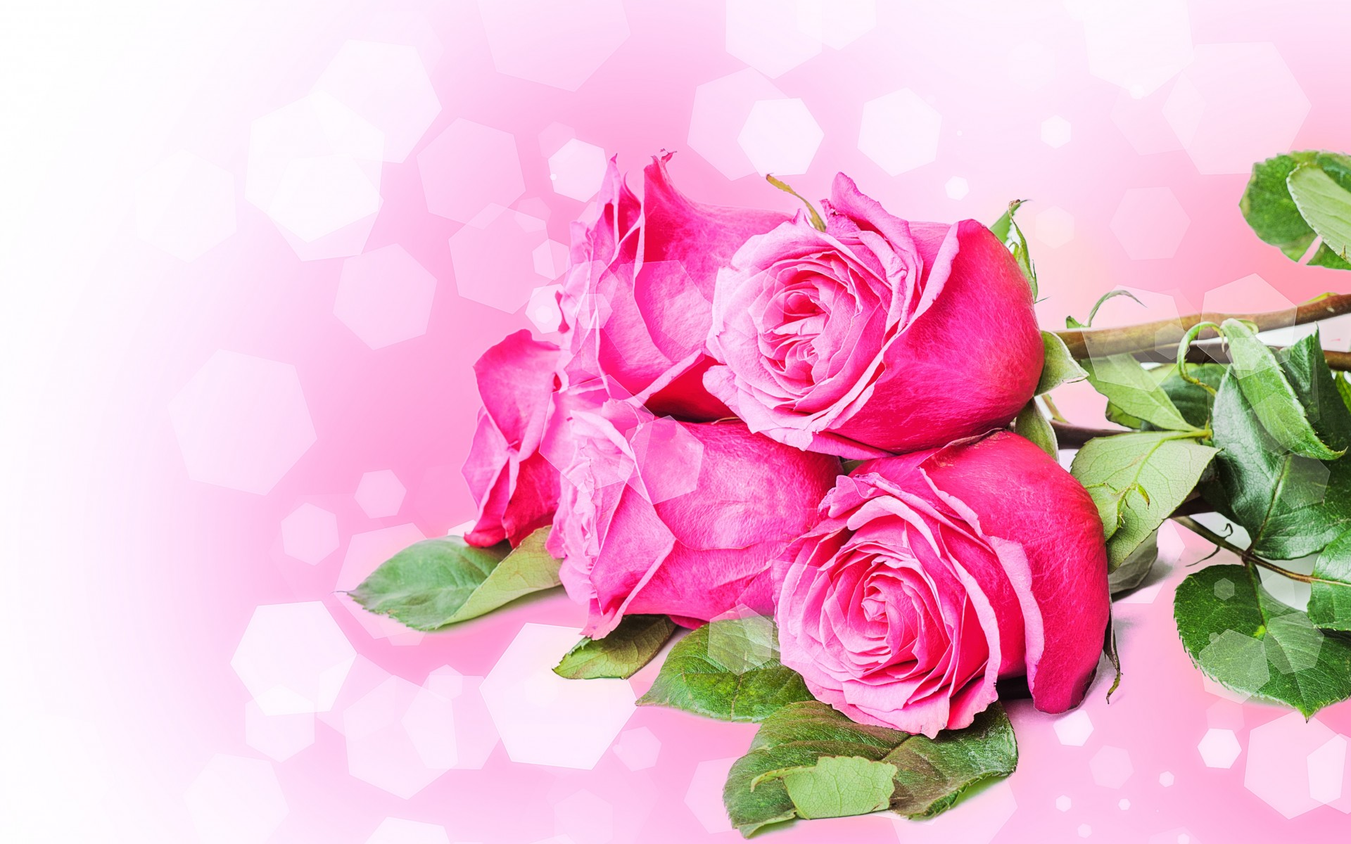 flowers, Bouquets, Roses, Pink, Stems, Petals Wallpaper