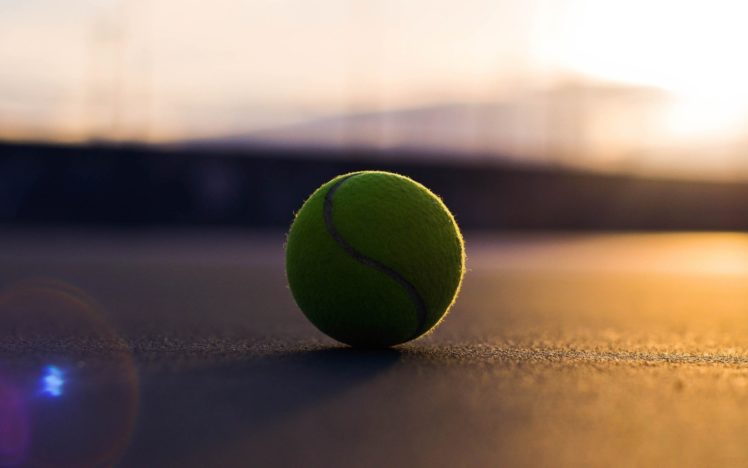 tennis, Ball HD Wallpaper Desktop Background