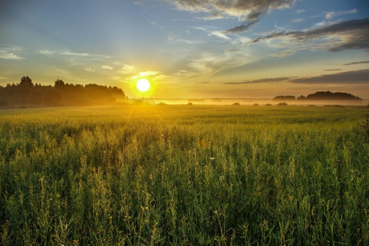 sunset, Field, Fog, Landscape HD Wallpaper Desktop Background