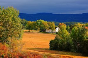 field, Trees, House, Autumn, Landscape