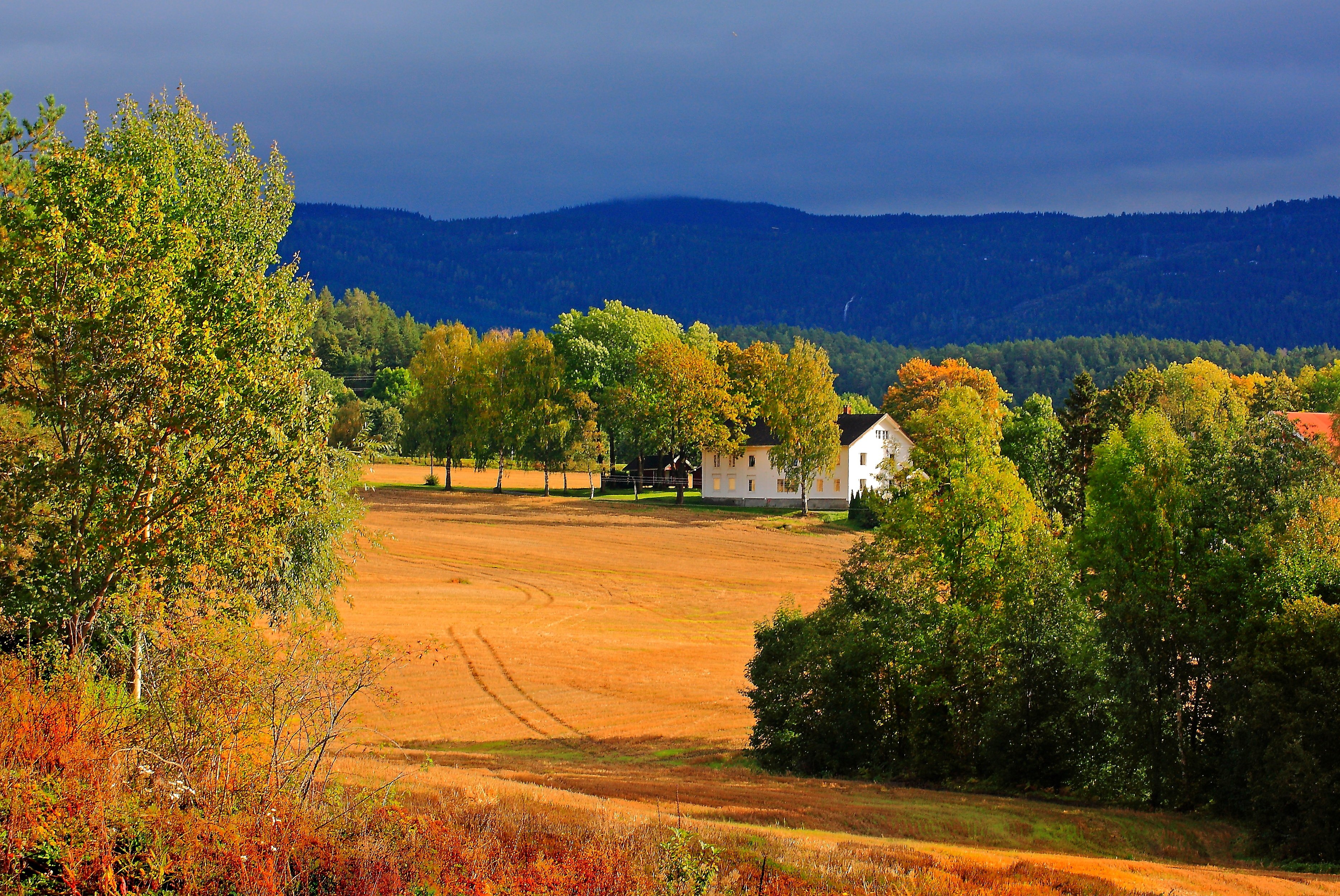 field, Trees, House, Autumn, Landscape Wallpaper