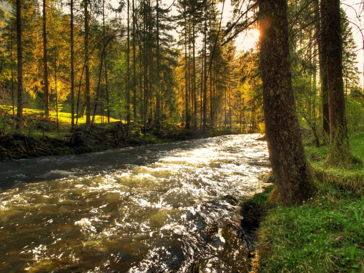 rivers, Austria, Schwarzbach, Trees, Nature HD Wallpaper Desktop Background