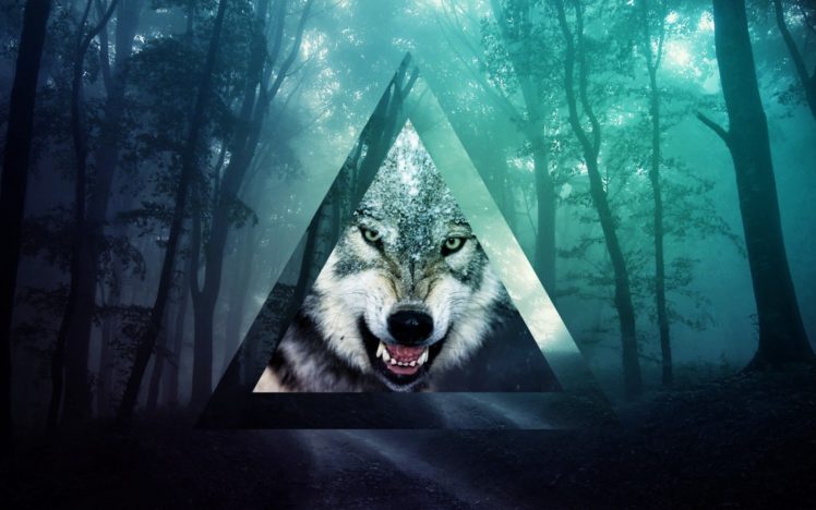 wolf, Wolves, Lobo, Forest HD Wallpaper Desktop Background