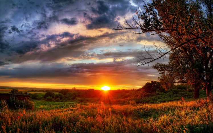 sunset, Field, Trees, Landscape HD Wallpaper Desktop Background