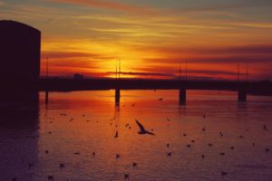 sunset, Rivers, Bridge, Sea, Gulls, Landscape, Birds