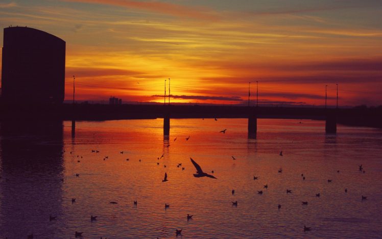 sunset, Rivers, Bridge, Sea, Gulls, Landscape, Birds HD Wallpaper Desktop Background