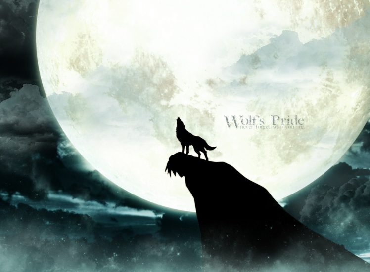 kiba, Wolfs, Rain HD Wallpaper Desktop Background