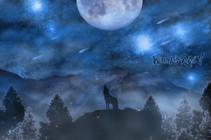 moon, Sky, Space, Stars, Tree, Wolf, Wolfs, Rain