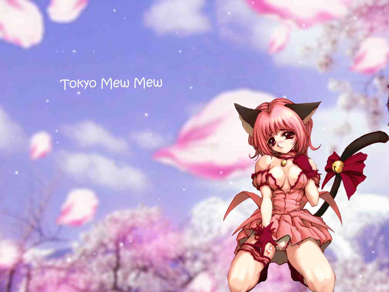 meow, Meow, Power , Tokyo, Mew, Mew, Zoey, Cat Wallpapers HD / Desktop and ...