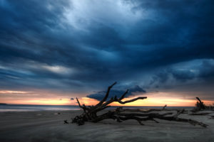 branches, Beach, Clouds, Sunset