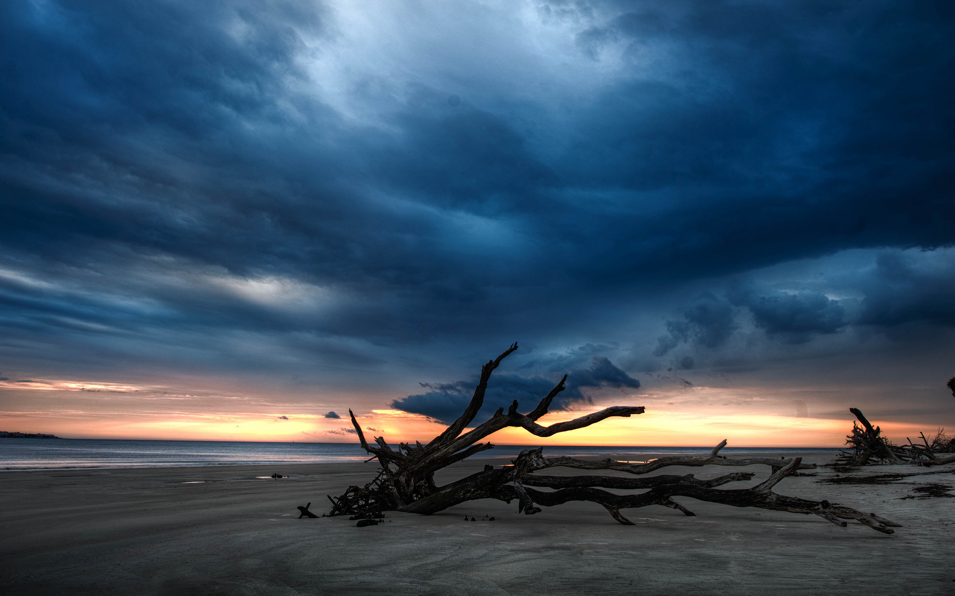branches, Beach, Clouds, Sunset Wallpaper