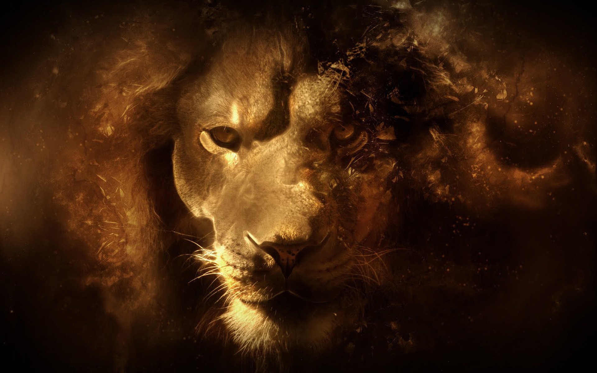 abstract, Multicolor, Lions, Faces Wallpaper