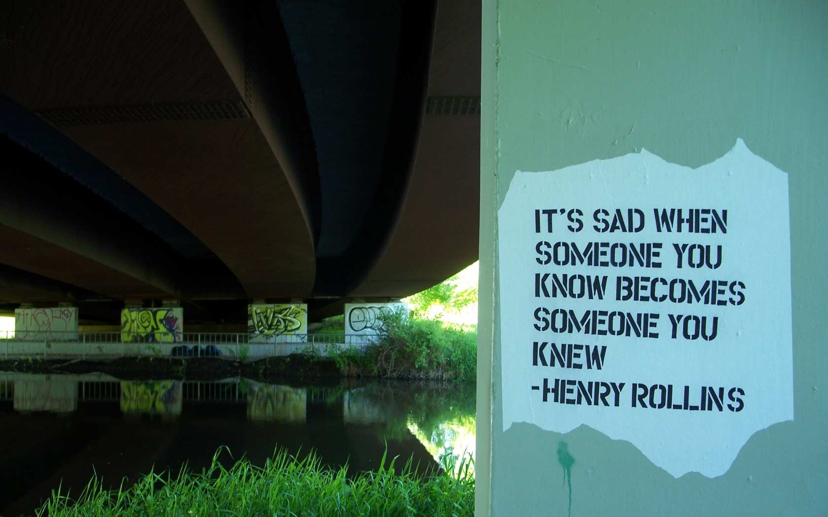 henry, Rollins, Knowledge, Quotes, Texts Wallpaper