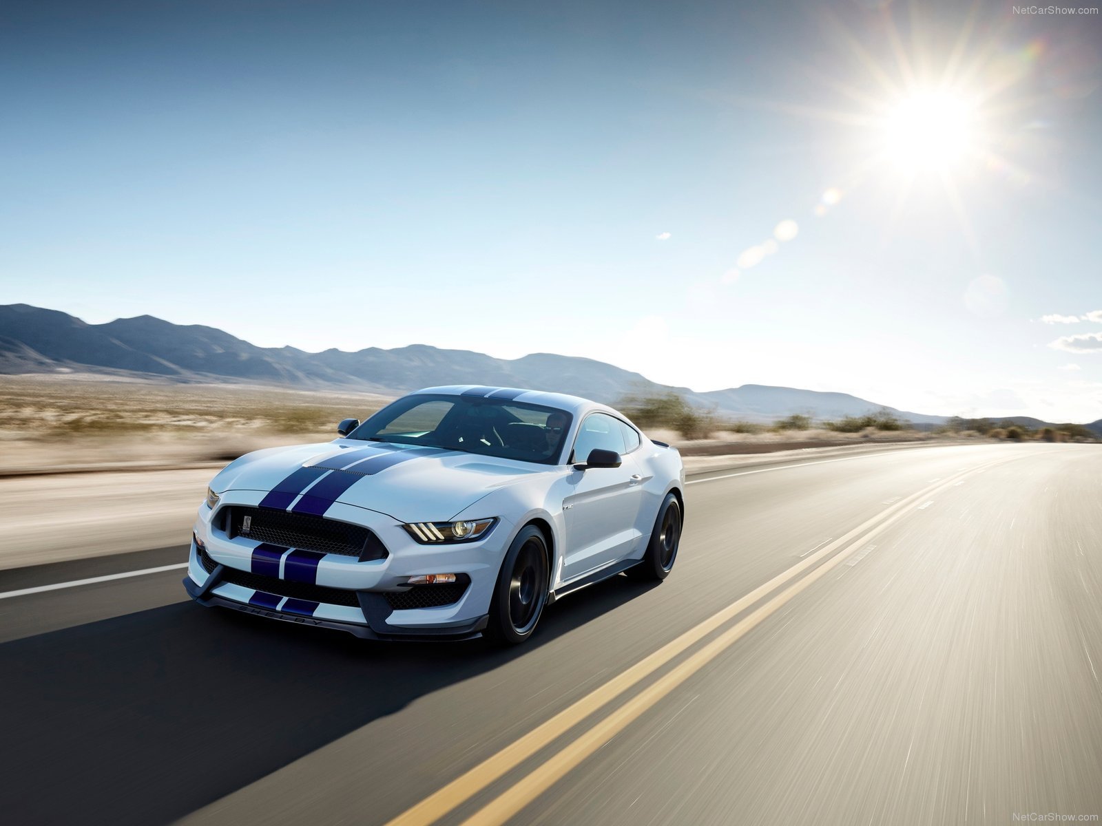 2016, Cars, Ford mustang, Gt350, Motors, Race, Shelby, Speed, Super Wallpaper