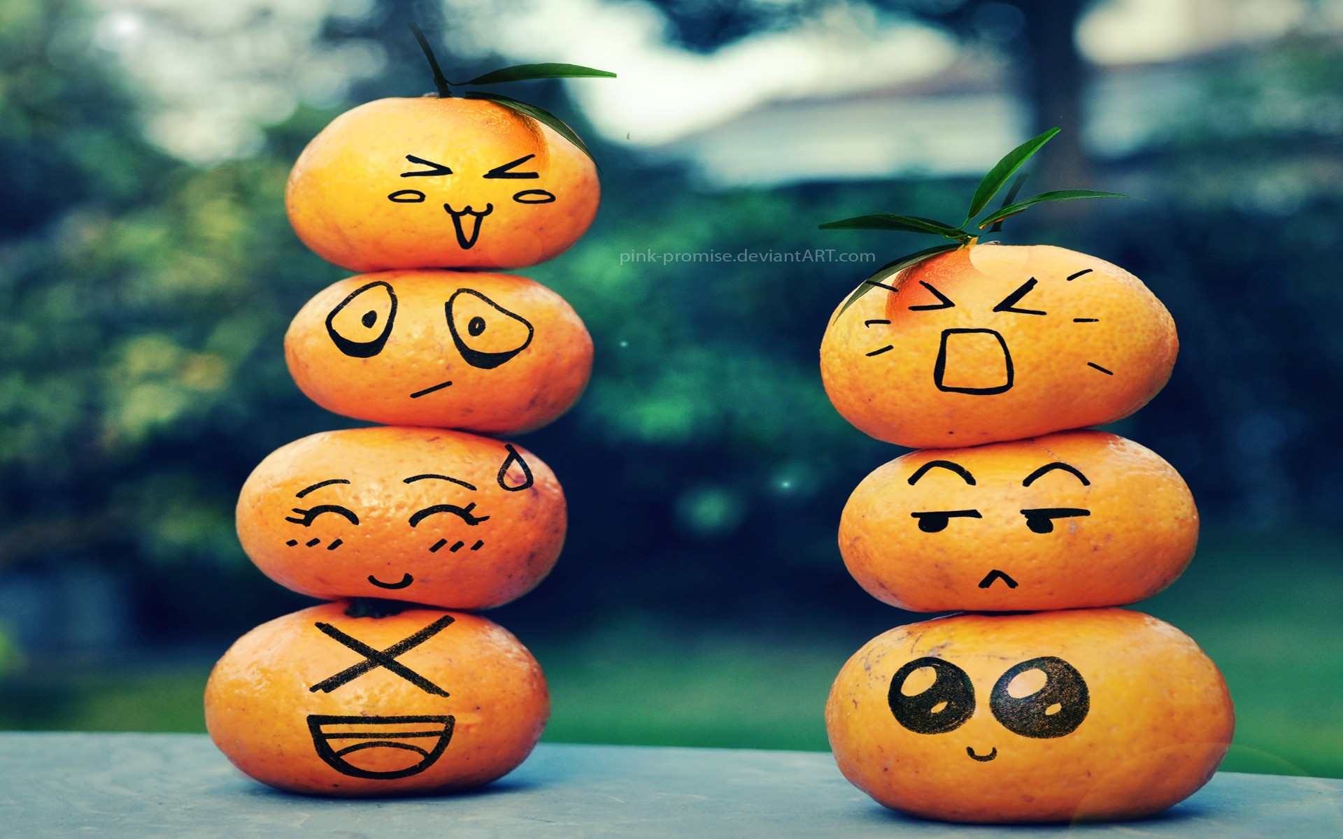 fruits, Funny, Tangerines Wallpaper