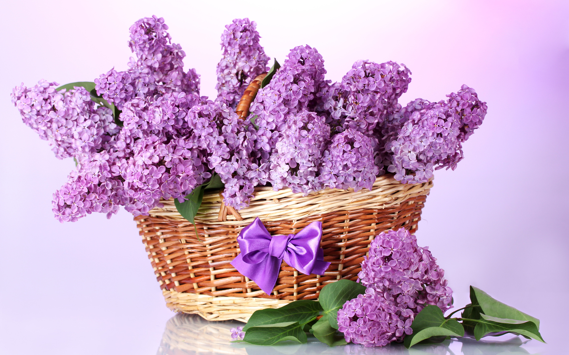 bow, Basket, Leaves, Flowers, Branches, Lilac, Spring Wallpaper