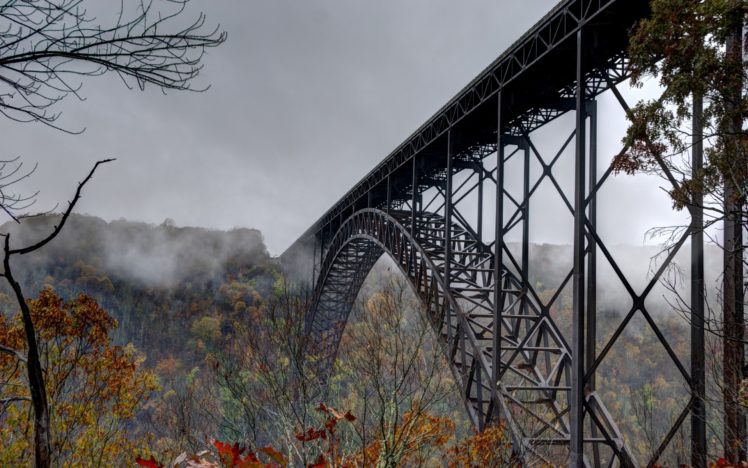 nature, Autumn, Bridge, Trees, Mist, Trees, Autumn, Fog HD Wallpaper Desktop Background
