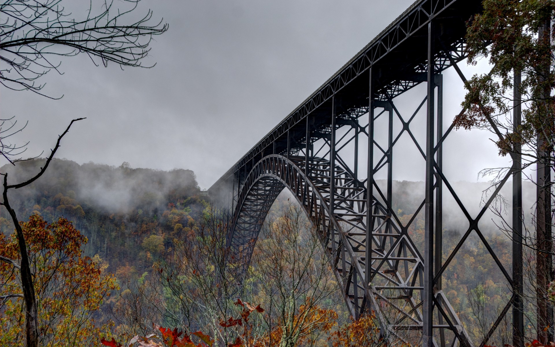 nature, Autumn, Bridge, Trees, Mist, Trees, Autumn, Fog Wallpaper
