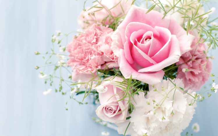 roses, Flowers, Carnations, White, Flower, Rose HD Wallpaper Desktop Background