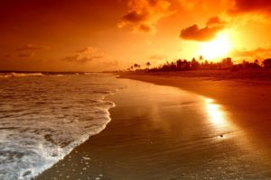beach, Sunset, Sky, Beauty, Beautiful, Sea, Ocean