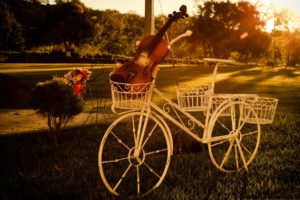 sunset, Bike, Mood, Tree, Grass, Beauty, Violin, Beautiful, Summer