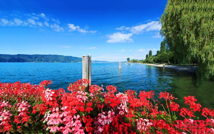 summer, Sea, Beach, Beauty, Nature, Flowers, Trees HD Wallpaper Desktop Background