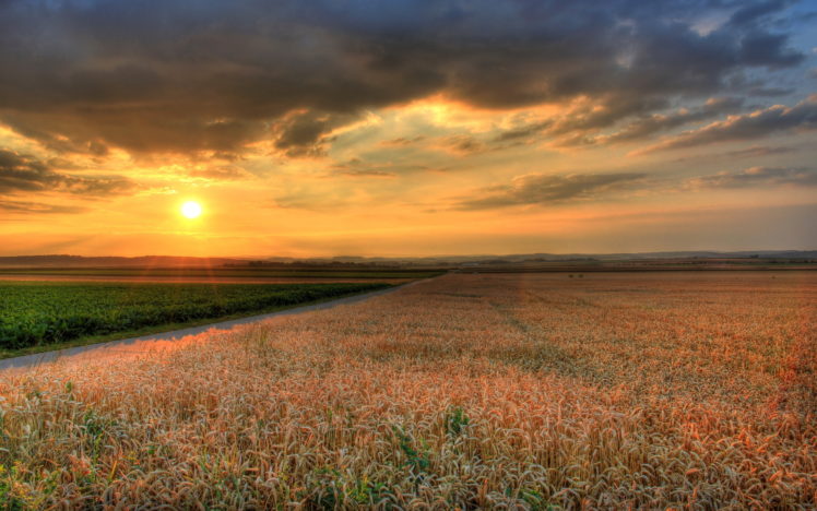 sunset, Field, Road, Landscapes HD Wallpaper Desktop Background