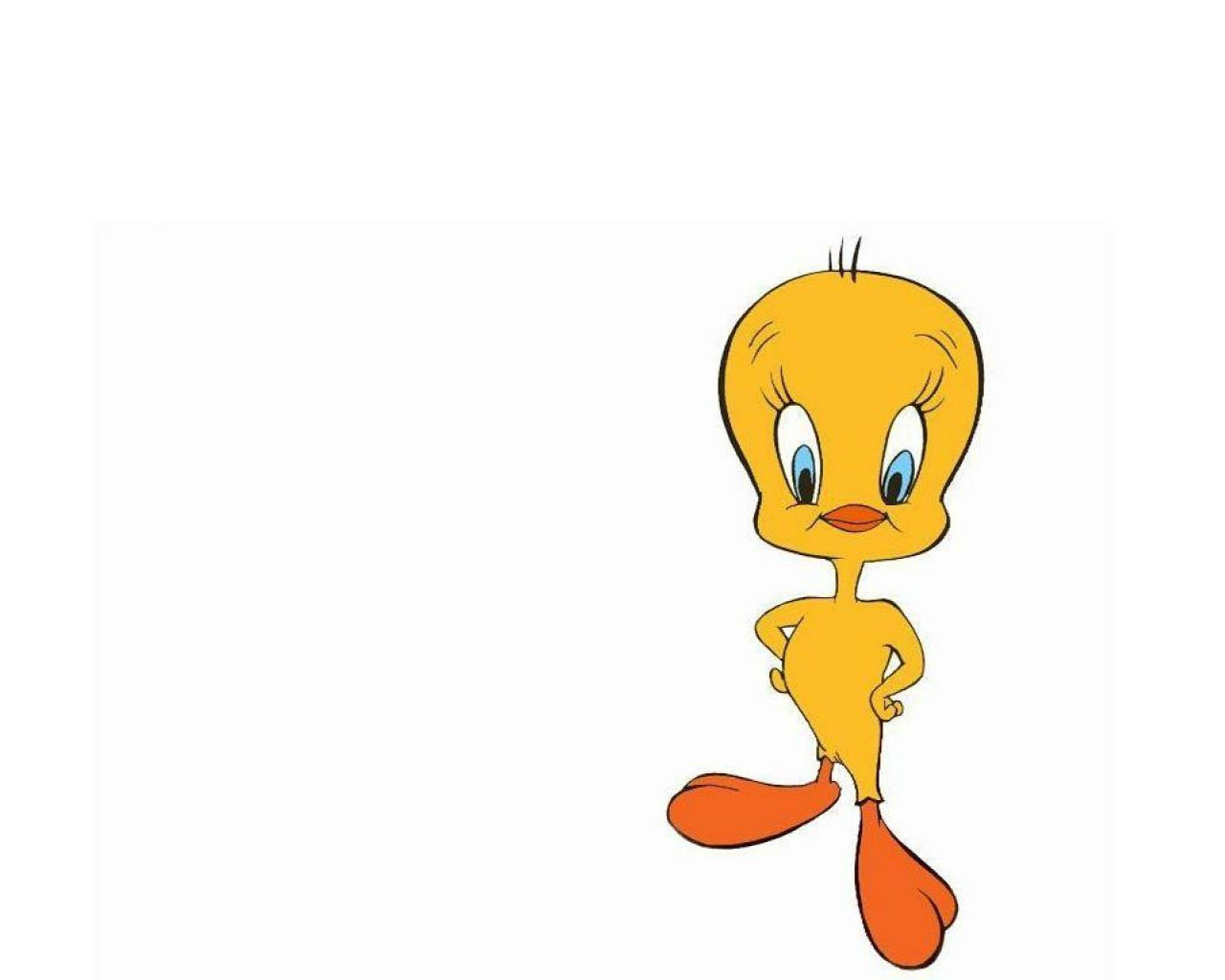 looney, Tunes, Humor, Funny, Cartoon, Family, Merrie, Melodies Wallpaper