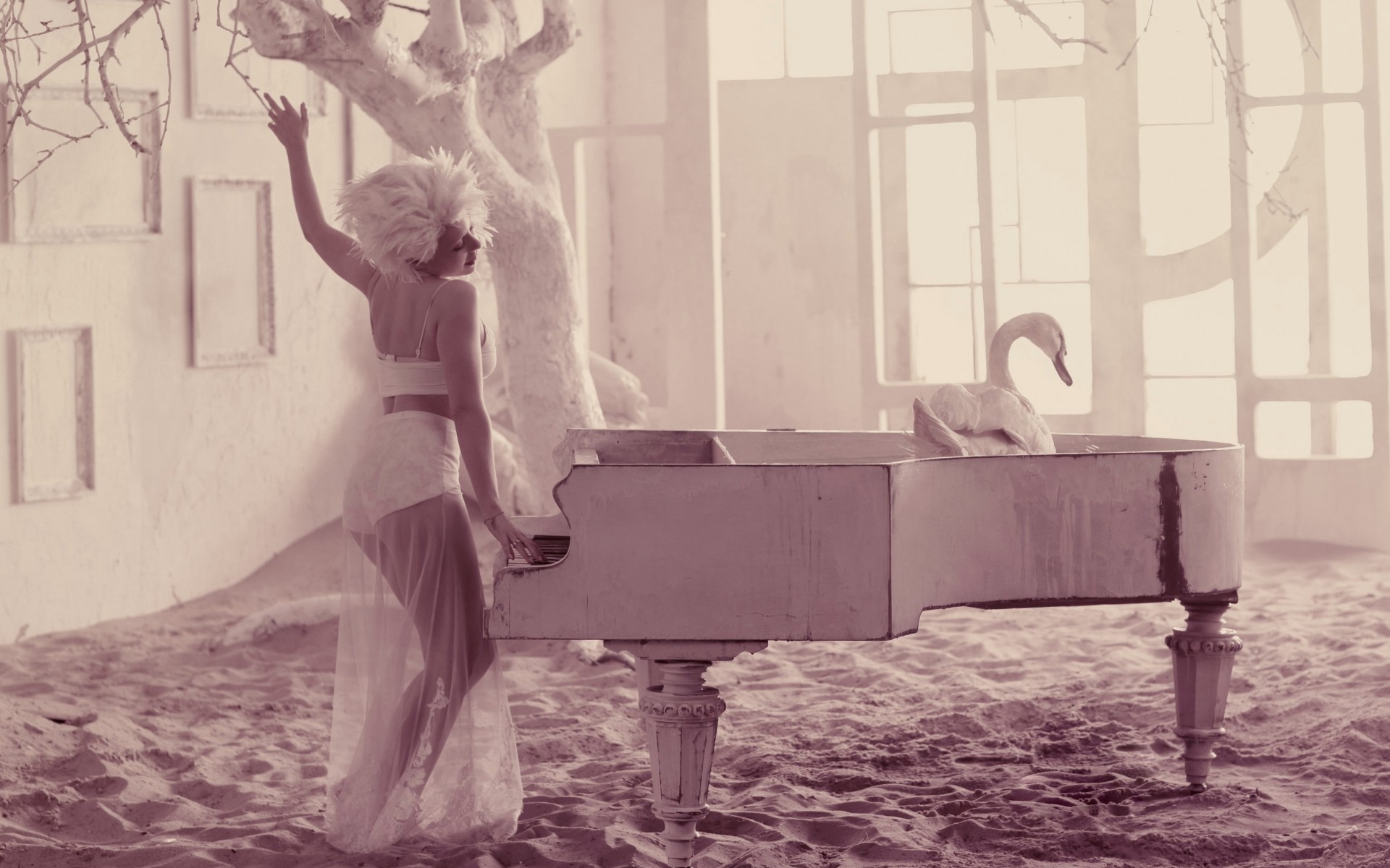 tina, Karol, Girl, Singer, Standing, Swan, Tree, Sand, Piano, Mood Wallpaper