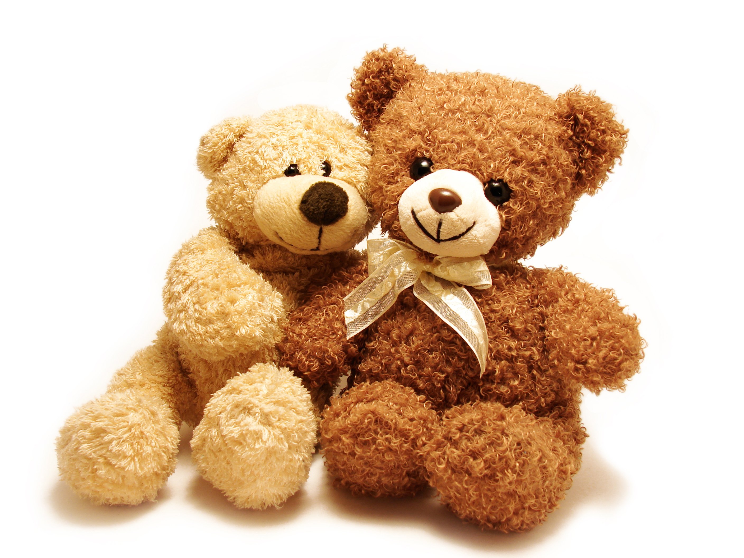 hug, Hugging, Couple, Love, Mood, People, Men, Women, Happy, Bear, Honey, Cute, Teddy Wallpaper