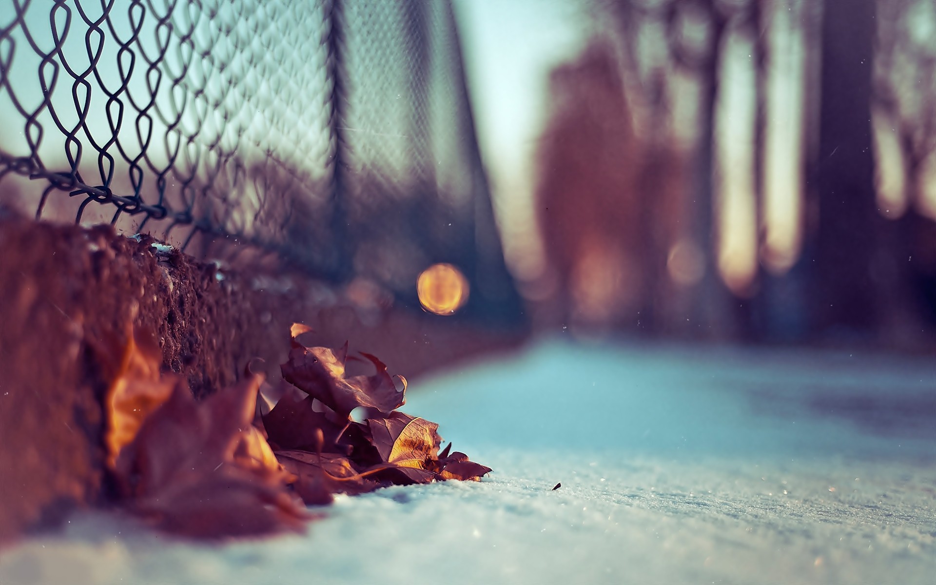 winter, Macro, Chain, Link, Fence, Fallen, Leaves Wallpaper