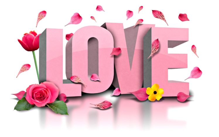 love, Flores, Rosa HD Wallpaper Desktop Background
