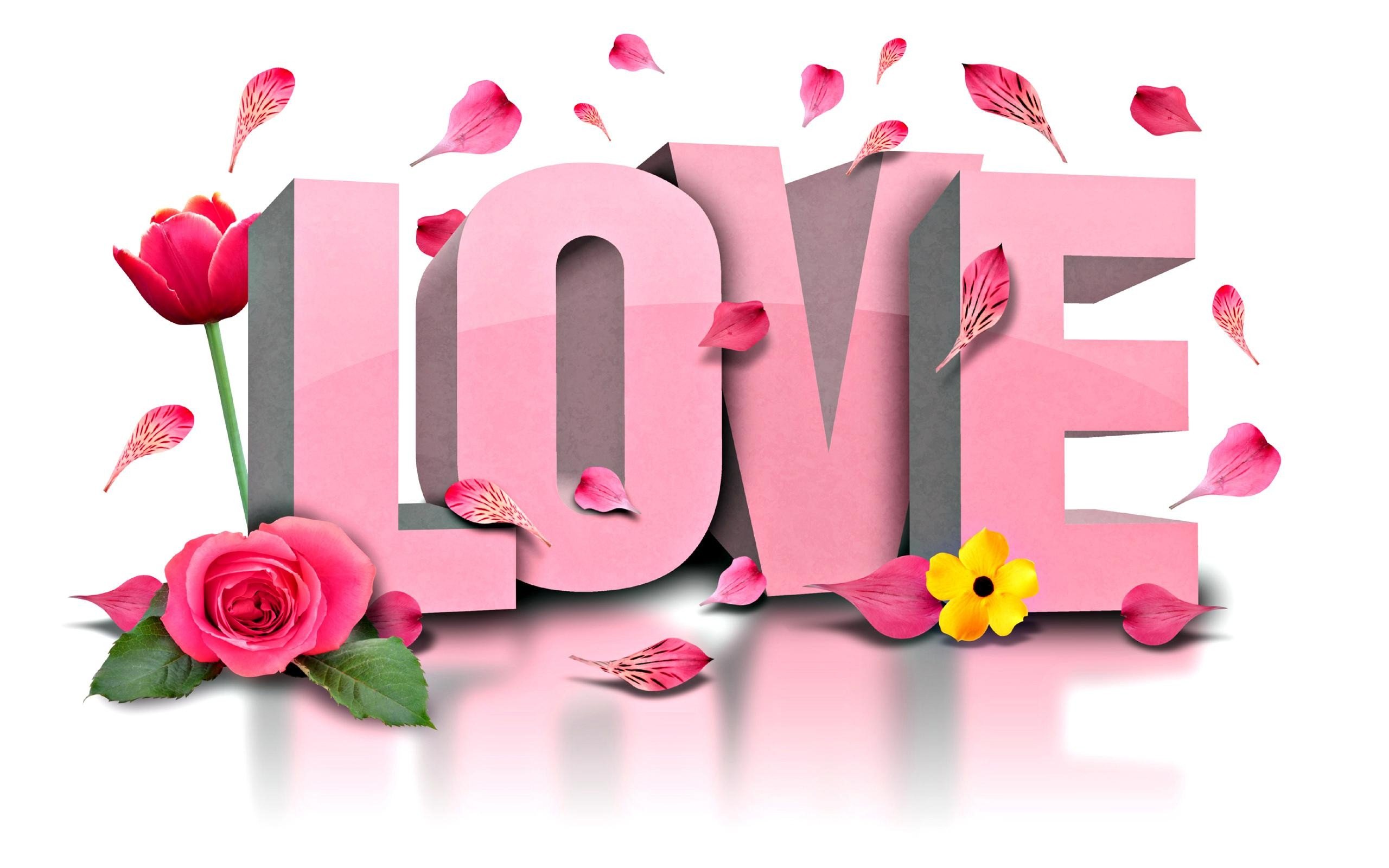 love, Flores, Rosa Wallpaper