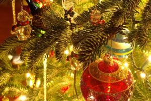 christmas, Tree, Lights, Beauty