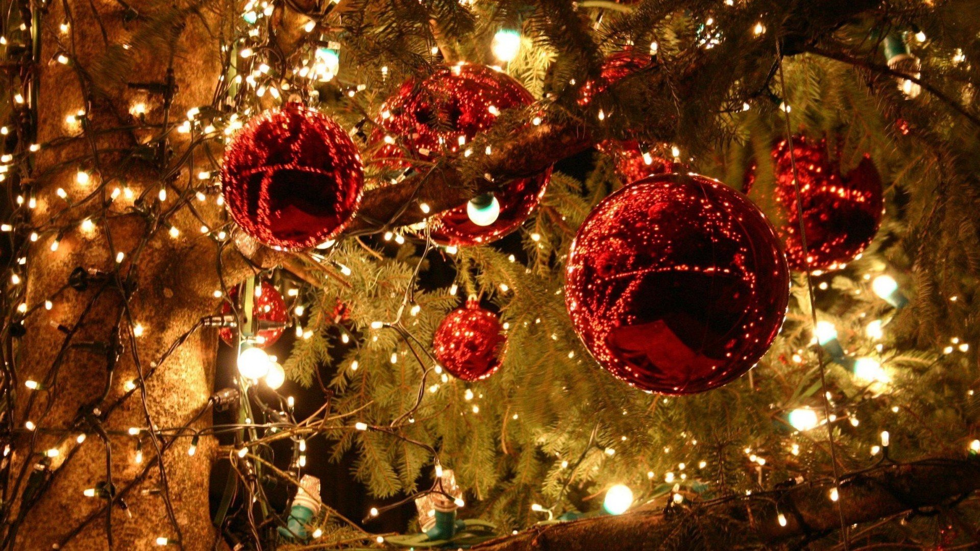 christmas, Trees, Decorated, Beauty Wallpaper
