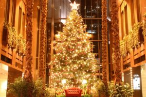 christmas, Beauty, Tree, Cool, Photos