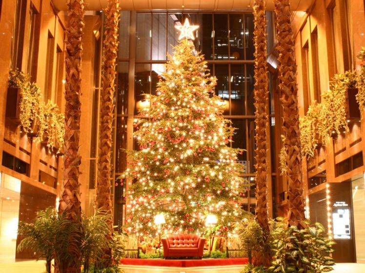 christmas, Beauty, Tree, Cool, Photos HD Wallpaper Desktop Background