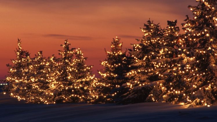 christmas, Beauty, Tree, Winter, Light, Backgrounds HD Wallpaper Desktop Background