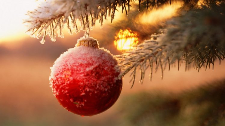 winter, Beauty, Snow, Christmas, Ball, Tree HD Wallpaper Desktop Background