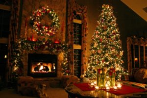 christmas, Tree, Beauty