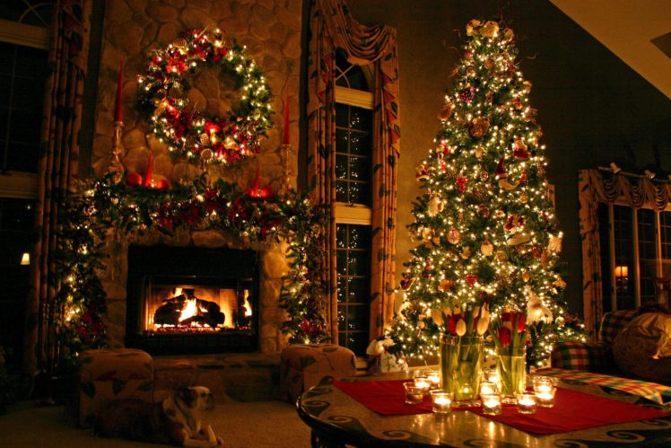 christmas, Tree, Beauty HD Wallpaper Desktop Background